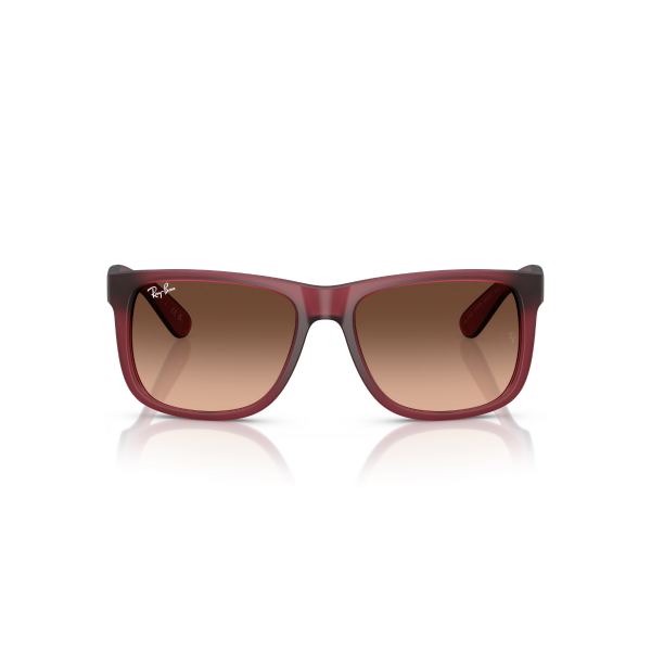 RB 4165 6815A5 55 Ray-Ban JUSTIN Güneş Gözlüğü
