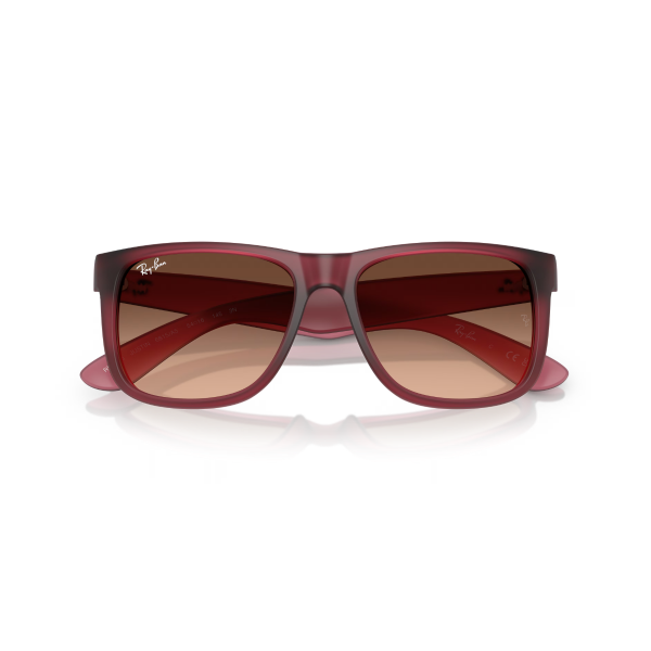 RB 4165 6815A5 55 Ray-Ban JUSTIN Güneş Gözlüğü