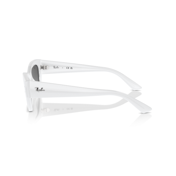 RB 4430 675911 49 Ray-Ban ZENA Güneş Gözlüğü