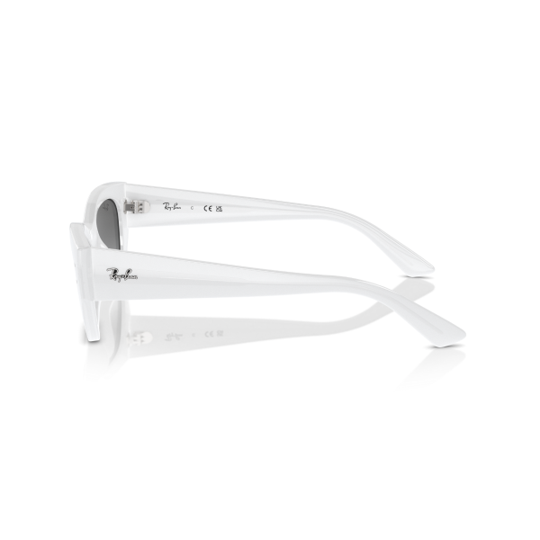 RB 4430 675911 49 Ray-Ban ZENA Güneş Gözlüğü