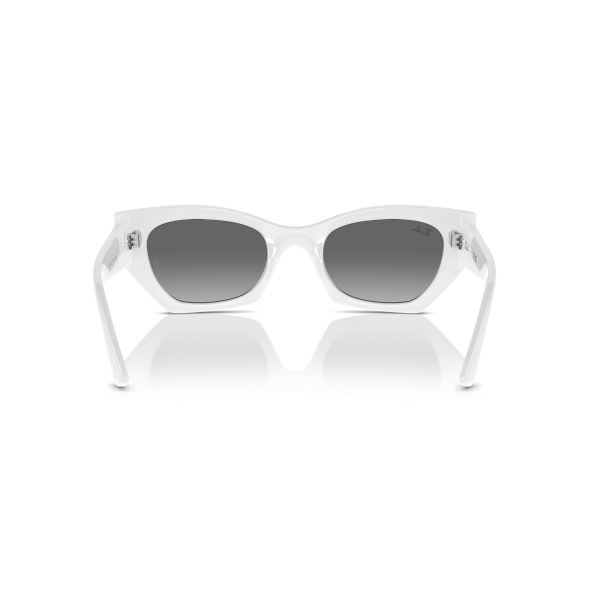 RB 4430 675911 49 Ray-Ban ZENA Güneş Gözlüğü