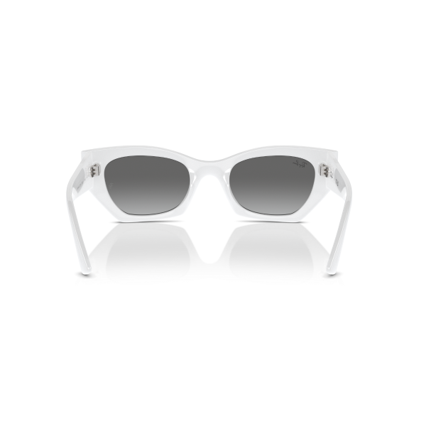 RB 4430 675911 49 Ray-Ban ZENA Güneş Gözlüğü