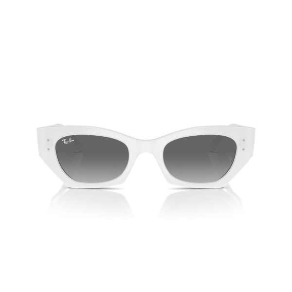 RB 4430 675911 49 Ray-Ban ZENA Güneş Gözlüğü