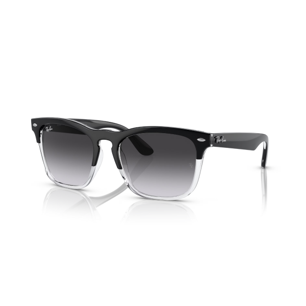 RB 4487 66308G 54 Ray-Ban STEVE Güneş Gözlüğü