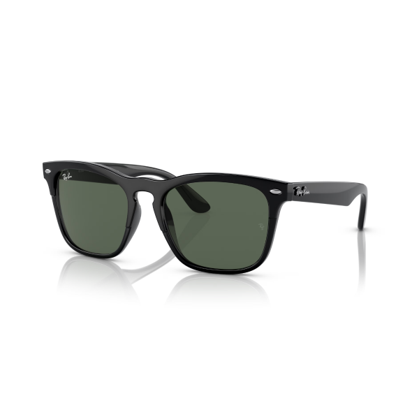 RB 4487 662971 54 Ray-Ban STEVE Güneş Gözlüğü