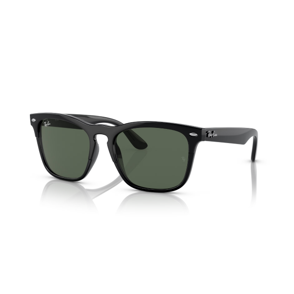 RB 4487 662971 54 Ray-Ban STEVE Güneş Gözlüğü