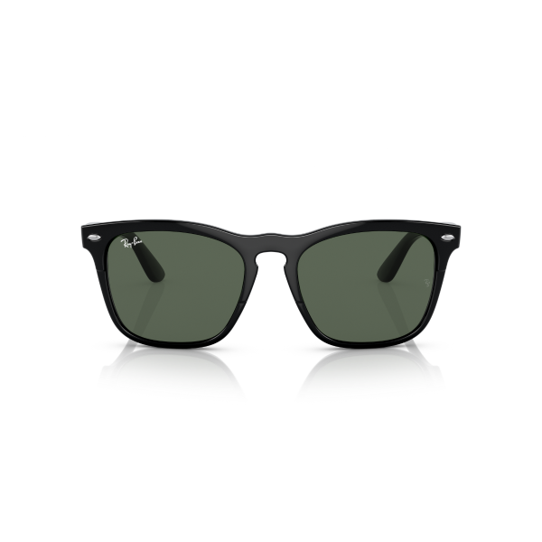 RB 4487 662971 54 Ray-Ban STEVE Güneş Gözlüğü