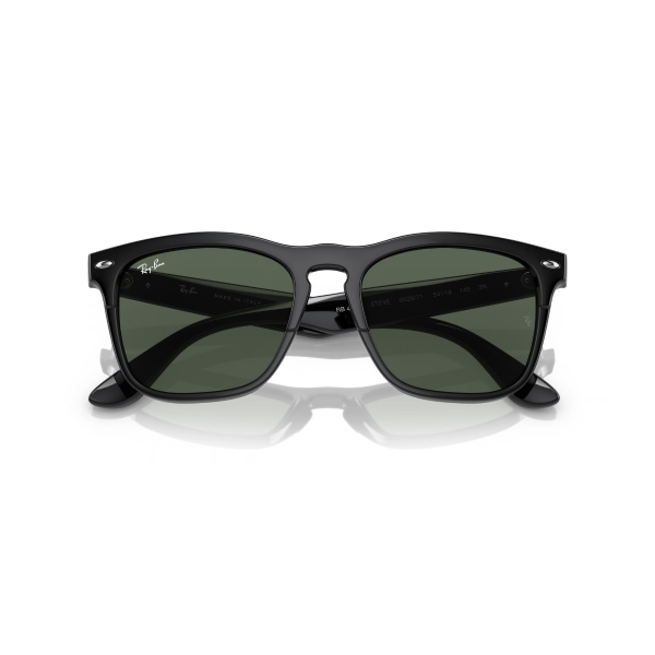 RB 4487 662971 54 Ray-Ban STEVE Güneş Gözlüğü