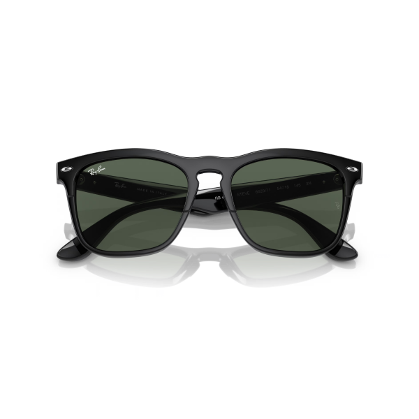 RB 4487 662971 54 Ray-Ban STEVE Güneş Gözlüğü