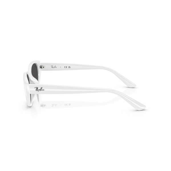 RB 4457D 677287 55 Ray-Ban Güneş Gözlüğü