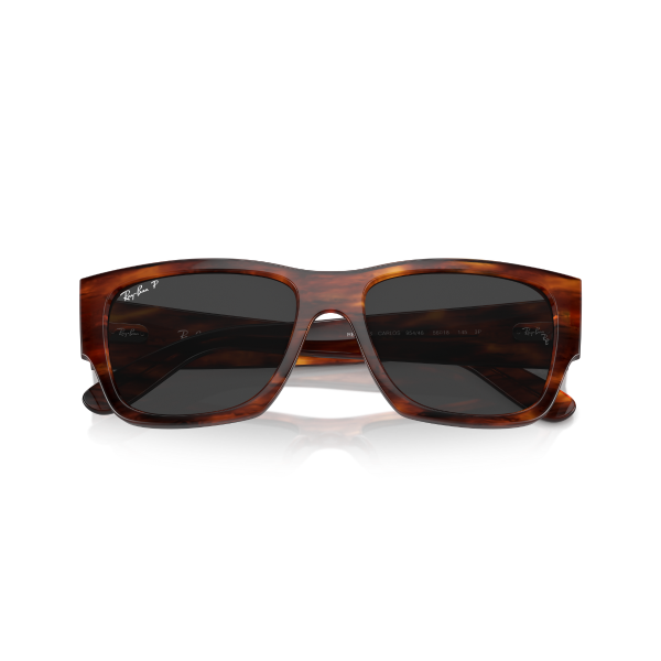 RB 0947S 954/48 56 Ray-Ban CARLOS Polarize Güneş Gözlüğü