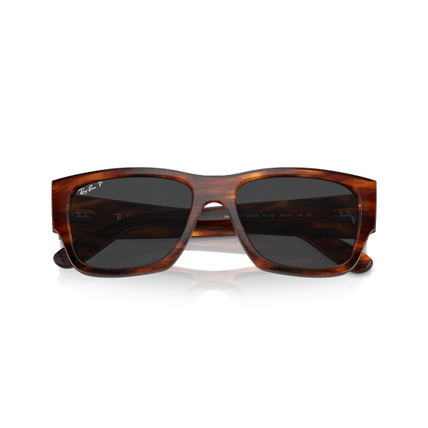RB 0947S 954/48 56 Ray-Ban CARLOS Polarize Güneş Gözlüğü
