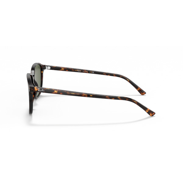 RB 2193 902/31 55 Ray-Ban LEONARD Güneş Gözlüğü