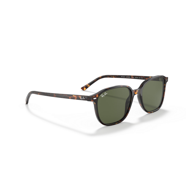 RB 2193 902/31 55 Ray-Ban LEONARD Güneş Gözlüğü