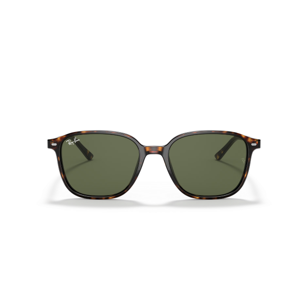 RB 2193 902/31 55 Ray-Ban LEONARD Güneş Gözlüğü
