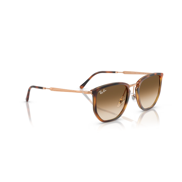 RB 4451 680451 53 Ray-Ban Güneş Gözlüğü