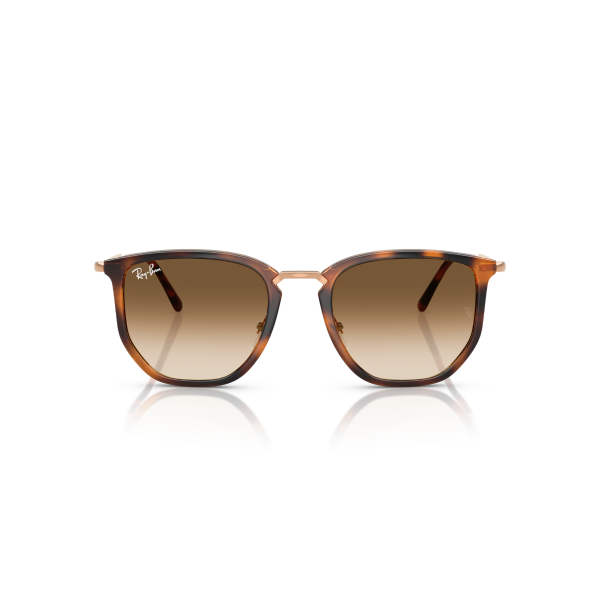 RB 4451 680451 53 Ray-Ban Güneş Gözlüğü