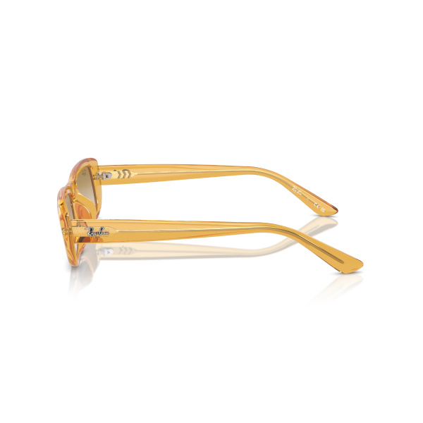 RB 4436D 668213 55 Ray-Ban Güneş Gözlüğü