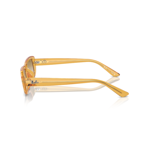 RB 4436D 668213 55 Ray-Ban Güneş Gözlüğü