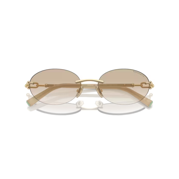 TF 3104D 617811 56 Tiffany & Co. Güneş Gözlüğü