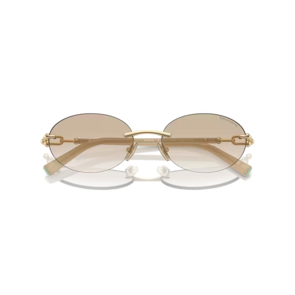 TF 3104D 617811 56 Tiffany & Co. Güneş Gözlüğü