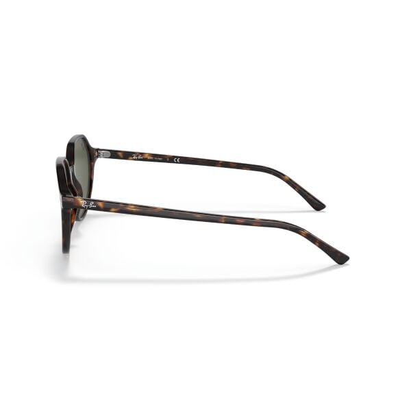 RB 2195 902/31 55 Ray-Ban THALIA Güneş Gözlüğü