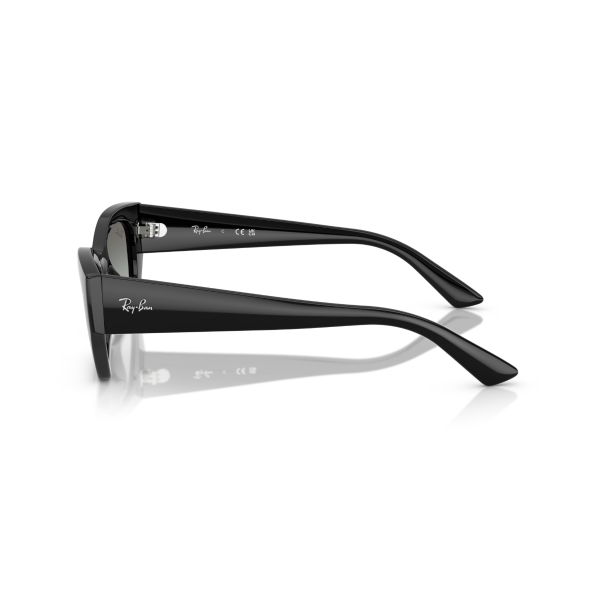 RB 4430 667711 49 Ray-Ban ZENA Güneş Gözlüğü