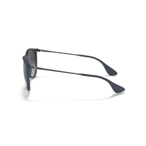 RB 4171 60028G 54 Ray-Ban ERIKA Güneş Gözlüğü