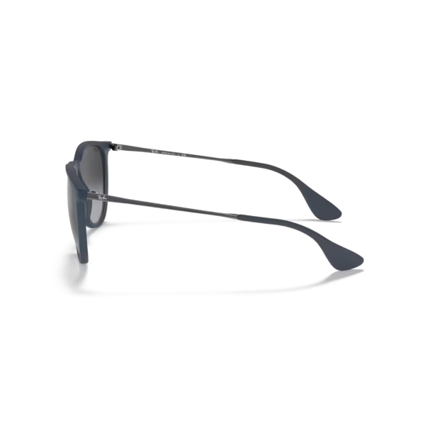 RB 4171 60028G 54 Ray-Ban ERIKA Güneş Gözlüğü