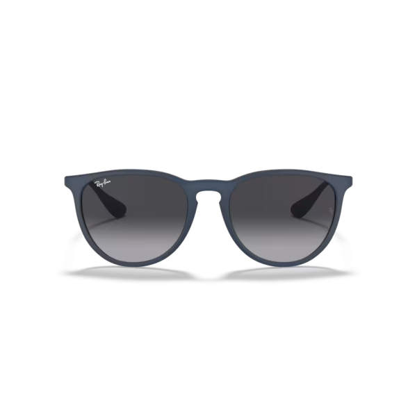 RB 4171 60028G 54 Ray-Ban ERIKA Güneş Gözlüğü