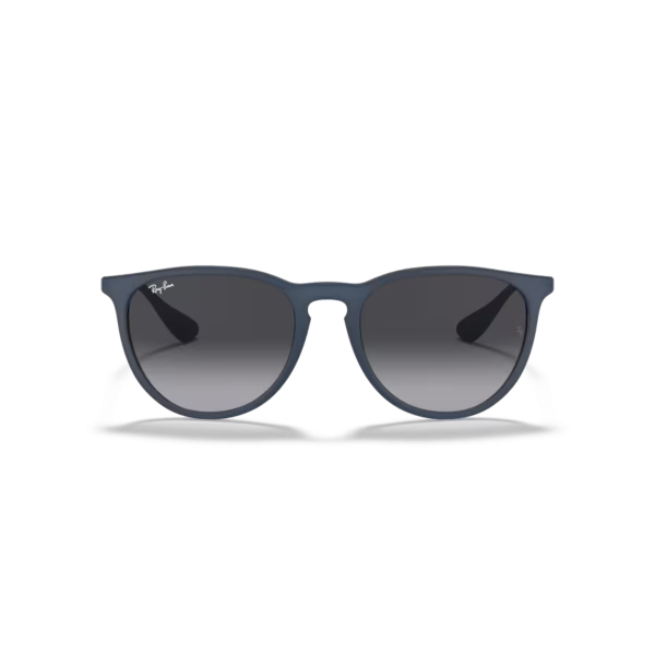 RB 4171 60028G 54 Ray-Ban ERIKA Güneş Gözlüğü