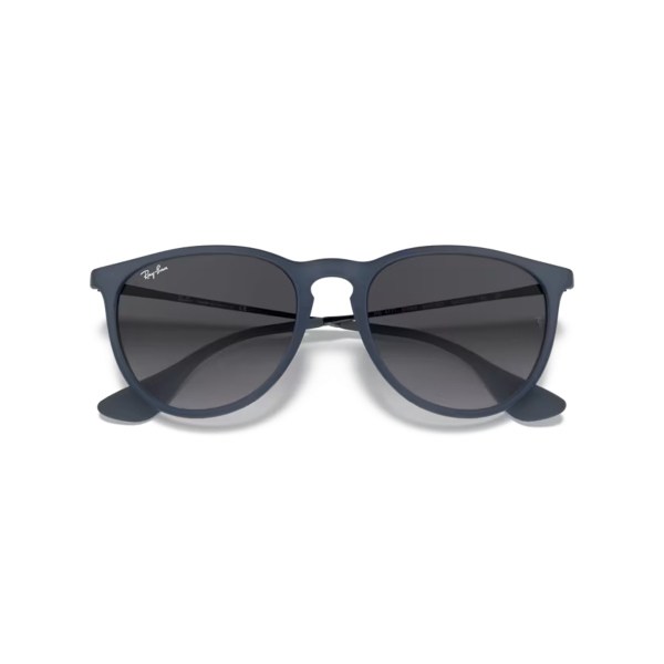 RB 4171 60028G 54 Ray-Ban ERIKA Güneş Gözlüğü