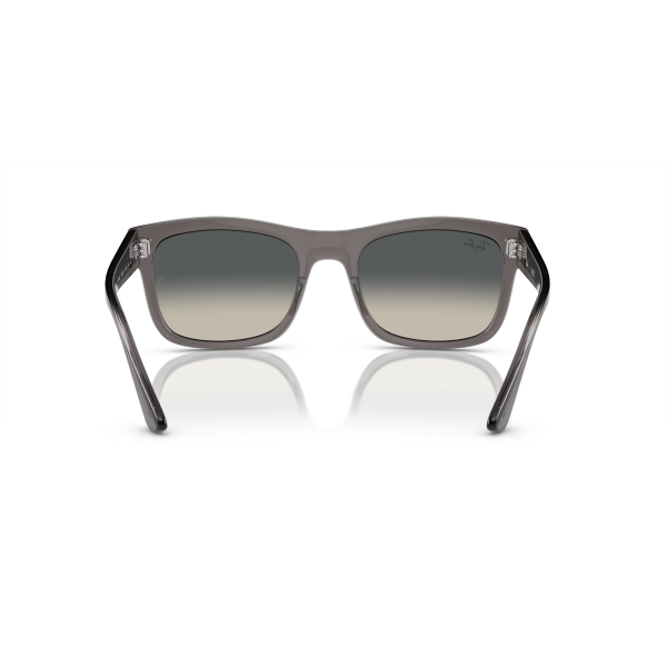 RB 4428 667571 56 Ray-Ban Güneş Gözlüğü