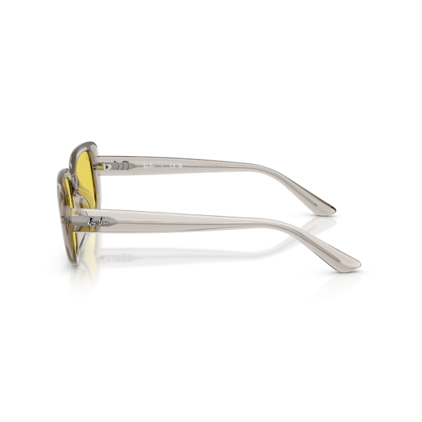 RB 4421D 681885 56 Ray-Ban Güneş Gözlüğü