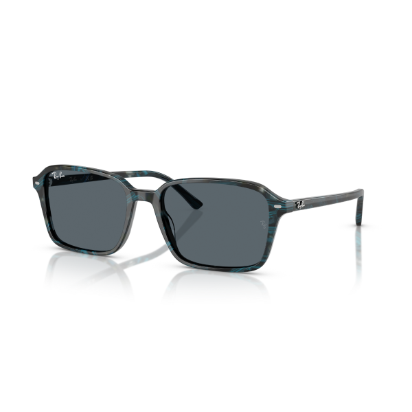 RB 2231 1417R5 58 Ray-Ban RAIMOND Güneş Gözlüğü