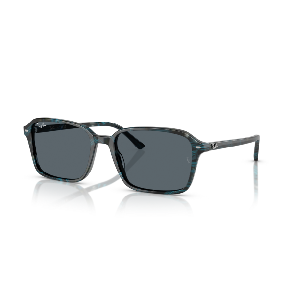 RB 2231 1417R5 58 Ray-Ban RAIMOND Güneş Gözlüğü