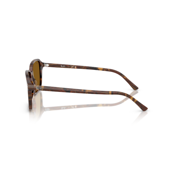 RB 2231 141833 56 Ray-Ban RAIMOND Güneş Gözlüğü