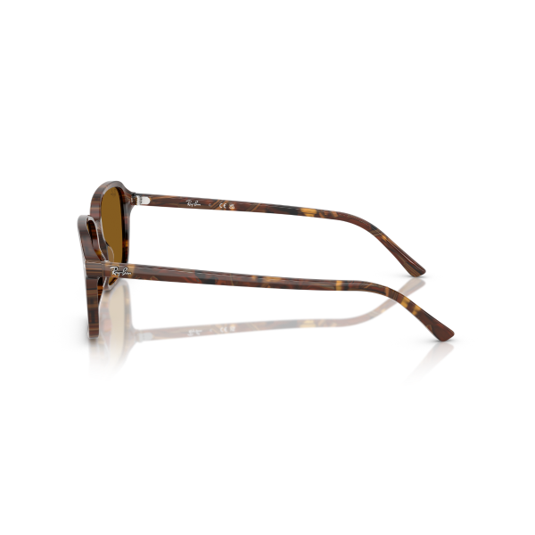 RB 2231 141833 56 Ray-Ban RAIMOND Güneş Gözlüğü