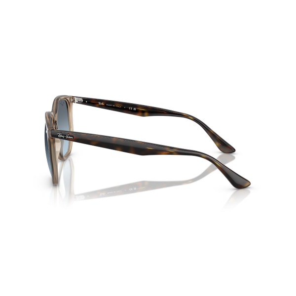 RB 4306 6788V1 54 Ray-Ban Güneş Gözlüğü