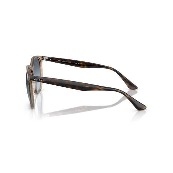 RB 4306 6788V1 54 Ray-Ban Güneş Gözlüğü