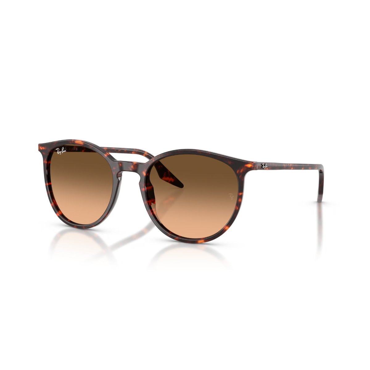 RB 2204 14293B 54 Ray-Ban Güneş Gözlüğü