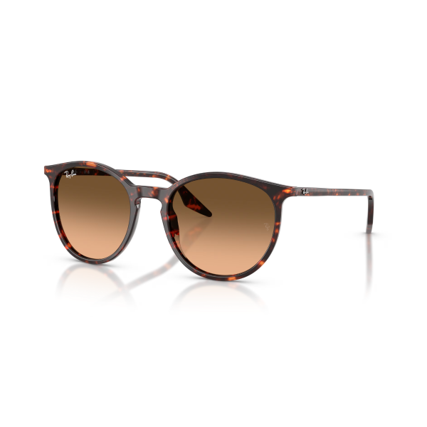 RB 2204 14293B 54 Ray-Ban Güneş Gözlüğü