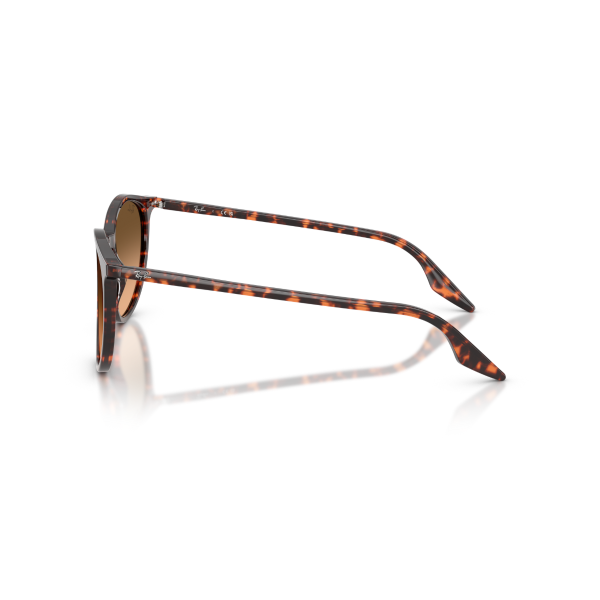 RB 2204 14293B 54 Ray-Ban Güneş Gözlüğü