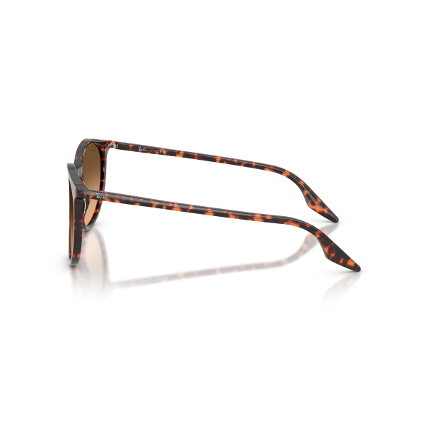 RB 2204 14293B 54 Ray-Ban Güneş Gözlüğü