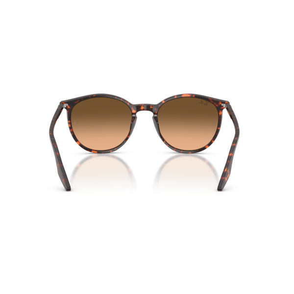 RB 2204 14293B 54 Ray-Ban Güneş Gözlüğü