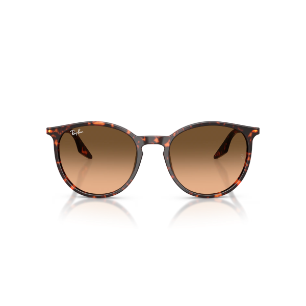 RB 2204 14293B 54 Ray-Ban Güneş Gözlüğü