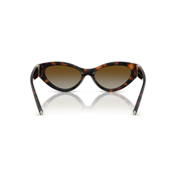 TF 4225U 8015T5 54 Tiffany & Co. Güneş Gözlüğü