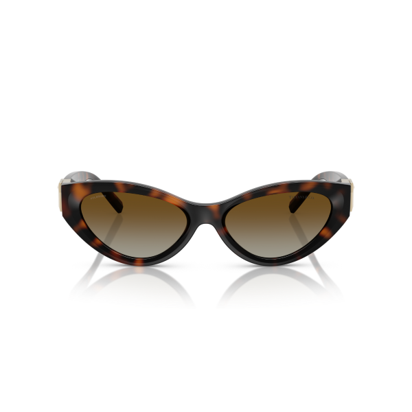 TF 4225U 8015T5 54 Tiffany & Co. Güneş Gözlüğü