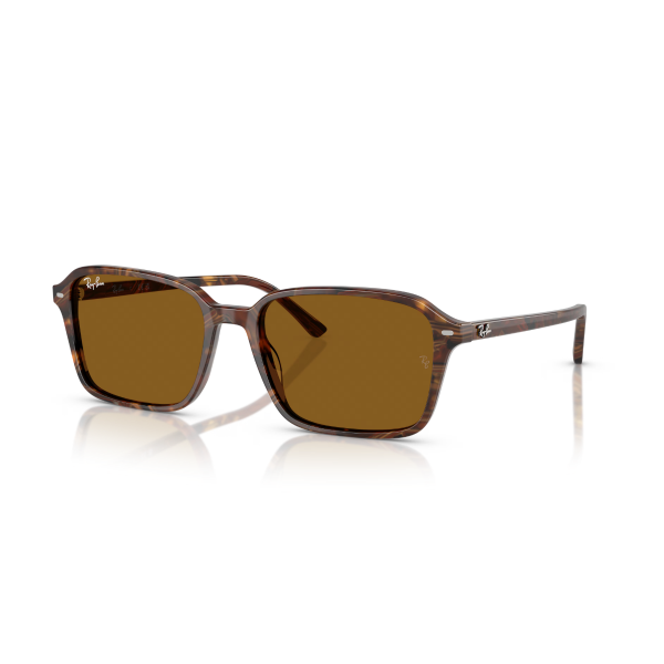 RB 2231 141833 58 Ray-Ban RAIMOND Güneş Gözlüğü