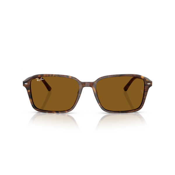 RB 2231 141833 58 Ray-Ban RAIMOND Güneş Gözlüğü